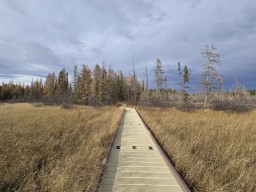 Wheelchair Accessible Boardwalk at Twin Lakes in Crimson Lake Provincial Park Alberta Canada