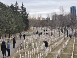 Public Remembrance Day Event 