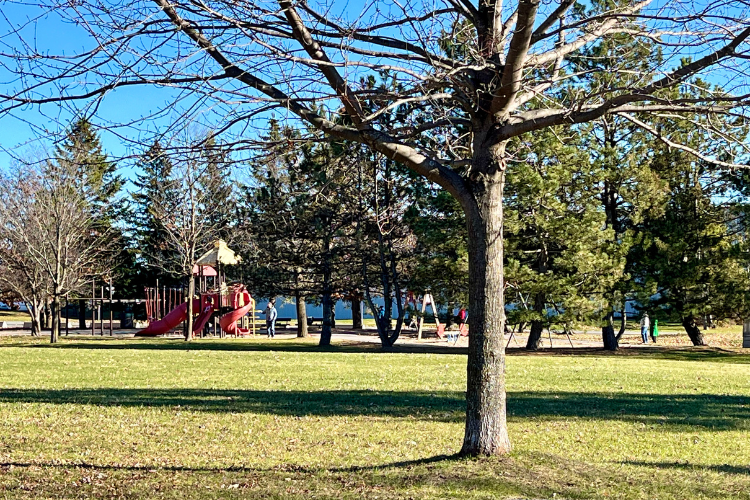 Playground and swings at Walter Baker Park - Climber, swings, splash pad and more at Walter Baker Park