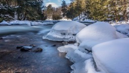 Minden White Water Preserve