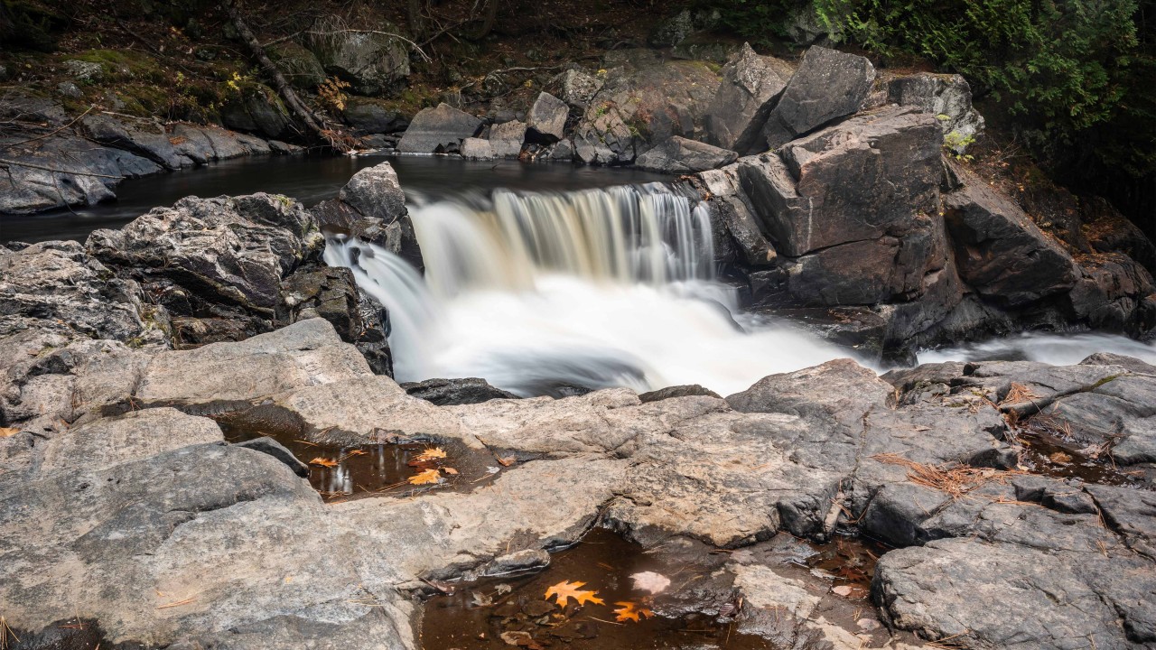 The Gut Conservation Area - The gut is located not far from Apsley on the Crowe River