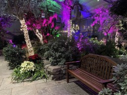 Royal Botanical Gardens Centre Burlington Ontario Canada 2024-12-15