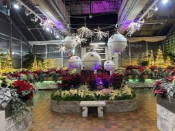 Royal Botanical Gardens Centre Burlington Ontario Canada 2024-12-15