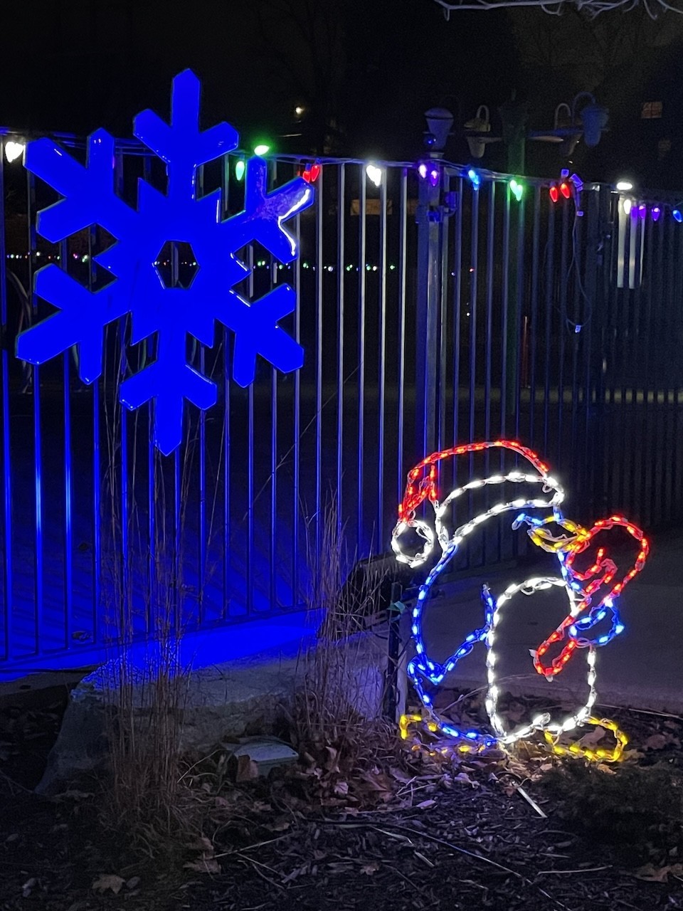 Caledonia Ontario Lights Along the Grand - In the summer months there is a pool for visitors to enjoy. The fence of the pool was the perfect spot to hang some of the decorations for Lights Along the Grand.