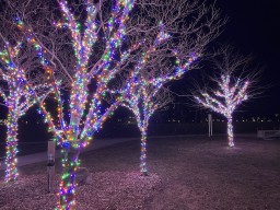 Sparkling Forest Lights Along the Grand River in Caledonia Ontario 