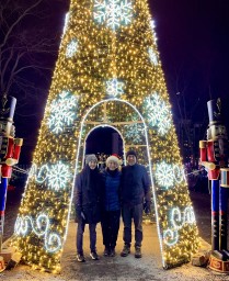 Entrance Tree at Village After Dark Hamilton Ontario