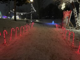 Let It Glow Rennie Park Port Dalhousie Ontario Canada 2024-12-26