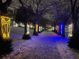 Burlington Festival of Lights Animal Light Walkway