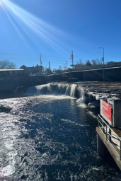 The falls of Fenelon Falls