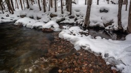 Ice And Snow Forming On The Edges