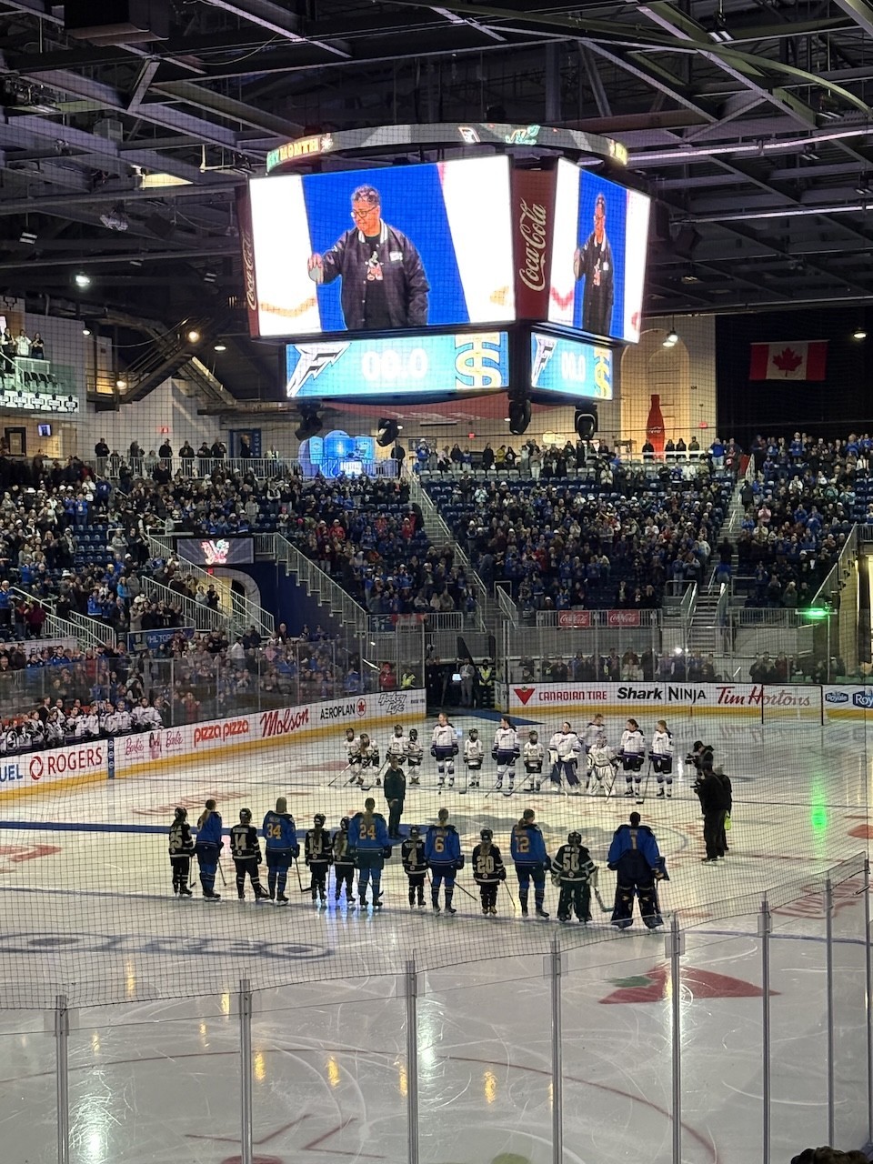 Toronto Sceptres Celebrate Black History Month - As a part of the Toronto Sceptres Black History Month game, Angela James did the ceremonial puck drop. James is considered the first superstar of women's hockey. As a  member of Canada's National Women's Team from 1990 to 1999, she is a trailblazer, champion and Hall of Famer.