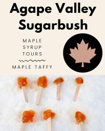 Agape Valley Sugar Bush Maple Syrup Days 2025- Ridgeville, Ont.jpg