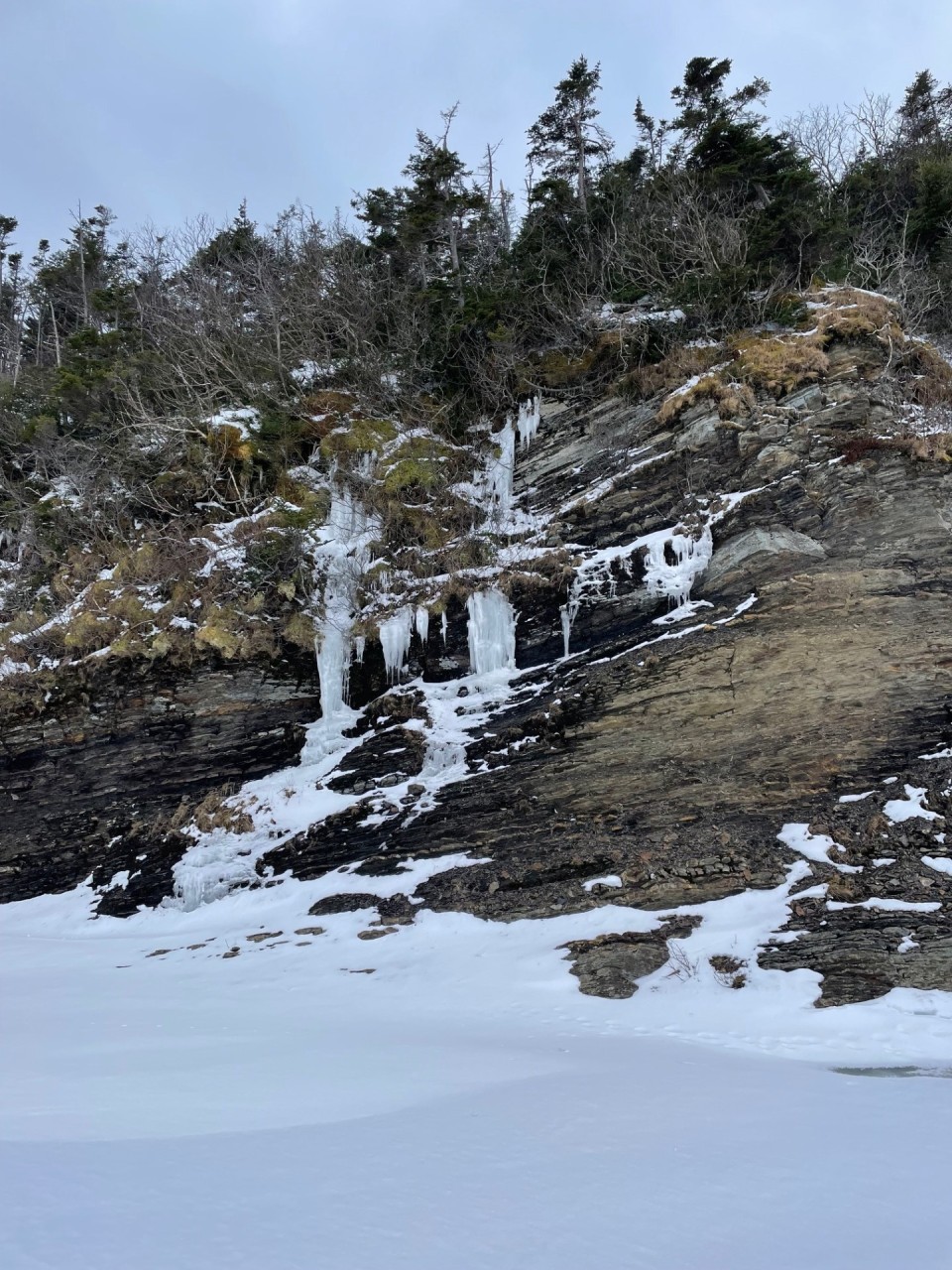 A Winter Walk on a Frozen River 2025-02-27 - Nearly back out to the start there are some cool layered rocks. In fact there are several examples of cool geology in this area of the province. 