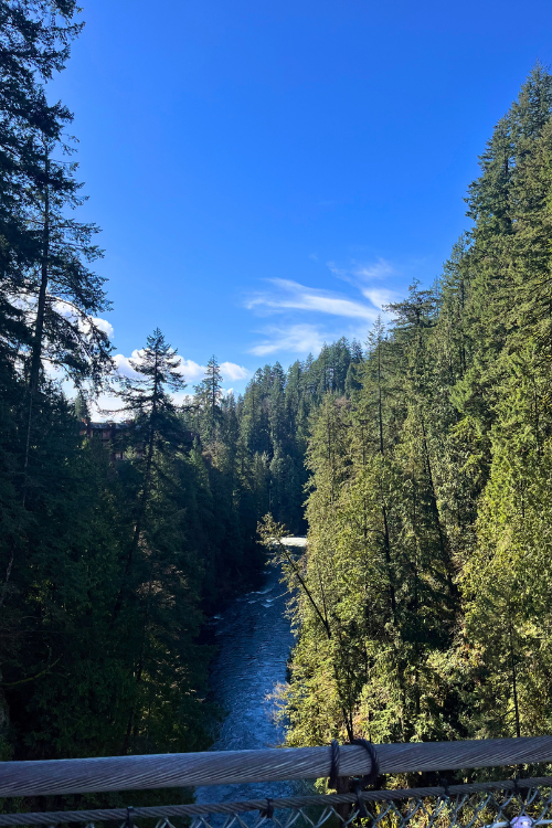 The Capilano Suspension Bridge is 137 meters long! - View from Capilano Suspension Bridge of the forest-lined Capilano River.