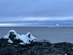 First view of the iceberg upon arriving in Twillingate