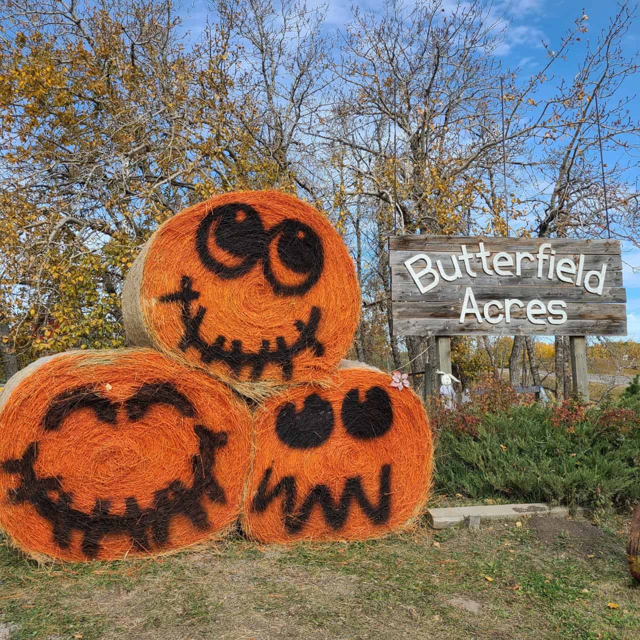 Hay bails painted and decorated for Halloween at the Butterfield Acres in Calgary Alberta Canada.