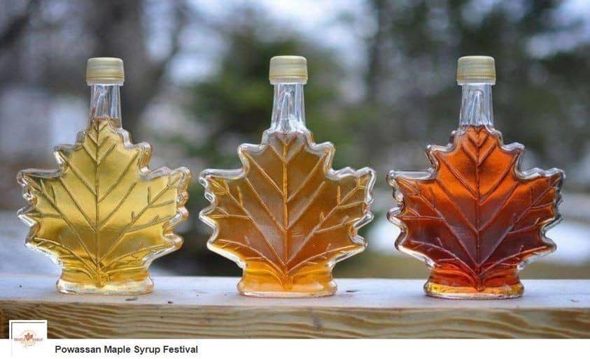 powassan-maple-syrup-festival_large.jpg