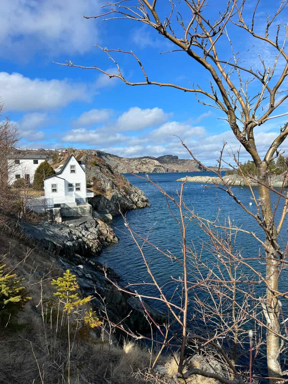 Annual Brigus Blueberry Festival Newfoundland Canada 11th Aug, 2023 1