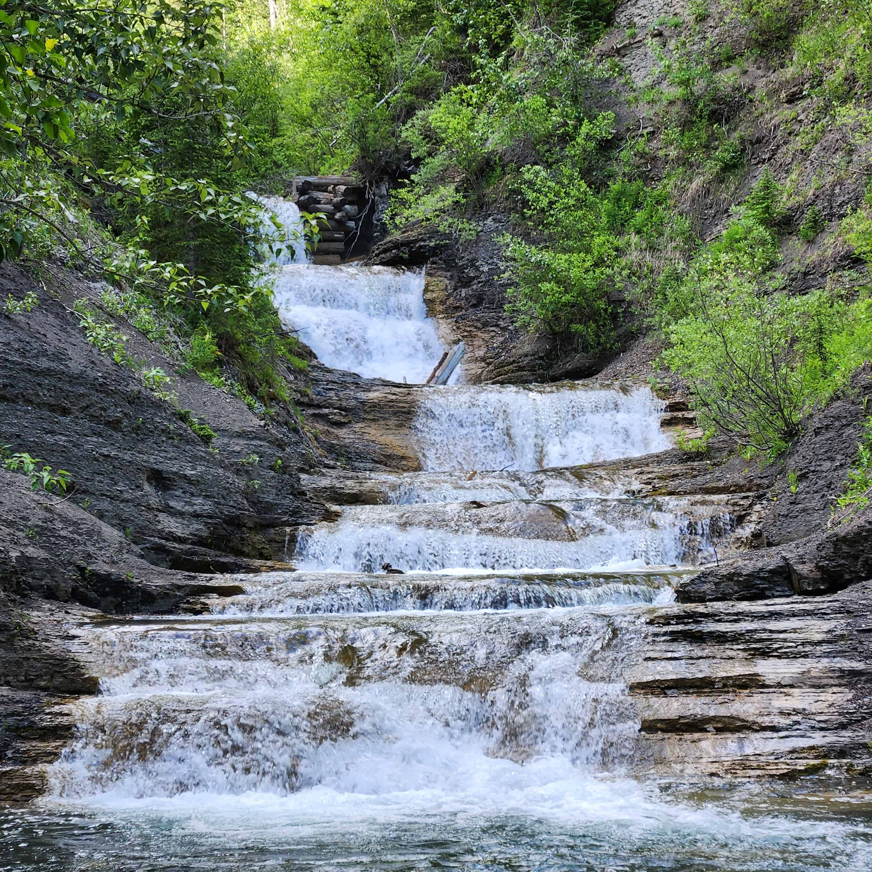 Allison Creek Falls Hike in the Crowsnest Pass Alberta Canada- Updated ...