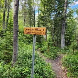 Andrea Horning - Allison Creek Falls Sign