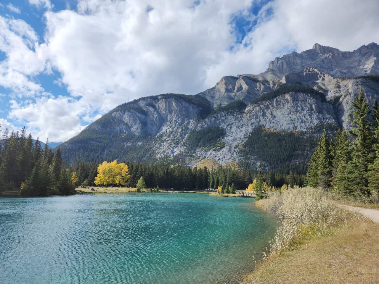 6 Reasons You Should Visit CASCADE PONDS in Banff