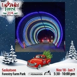 Enchanted Forest Holiday Light Tour 2023 - Saskatoon Saskatchewan.jpg